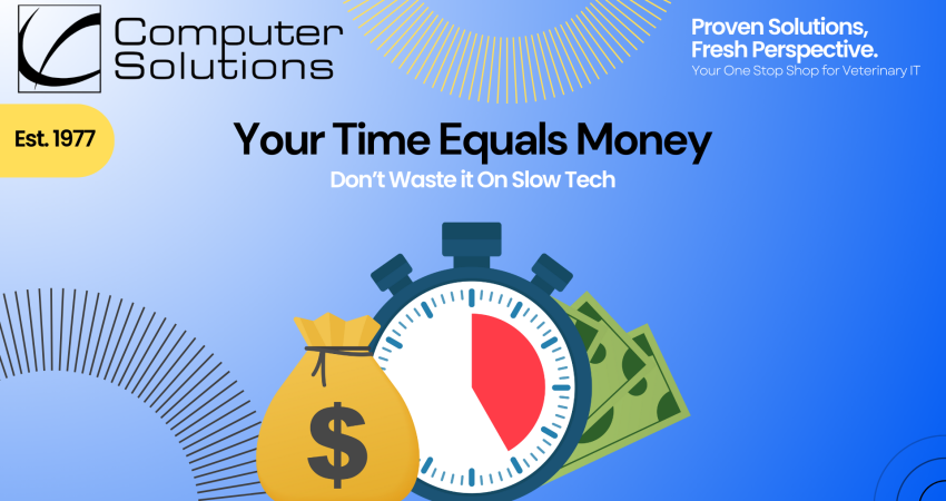 Veterinary IT strategy