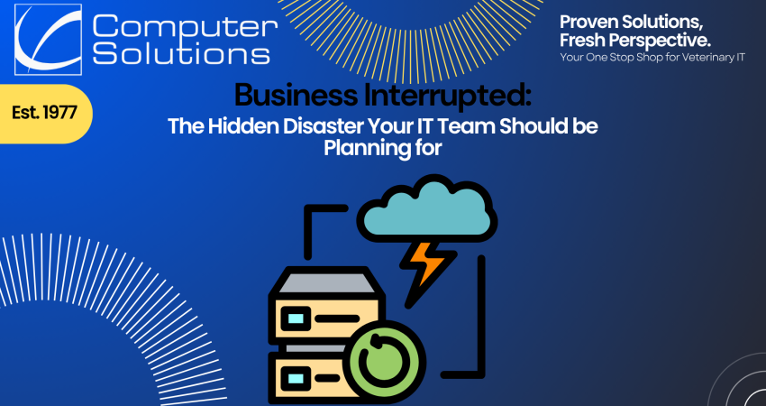 Computer Solutions, Veterinary Business Continuity