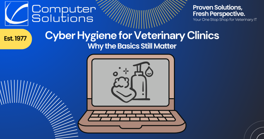 Title image. This includes Computer Solutions contact info and tagline. It also shows a computer with a bar of soap on it, symbolizing "cyber hygiene"