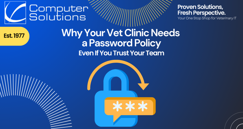 Title image. This includes Computer Solutions' logo, tagline, and contact information. It also incudes an image of a lock with a password protected symbol to show veterinary password security.
