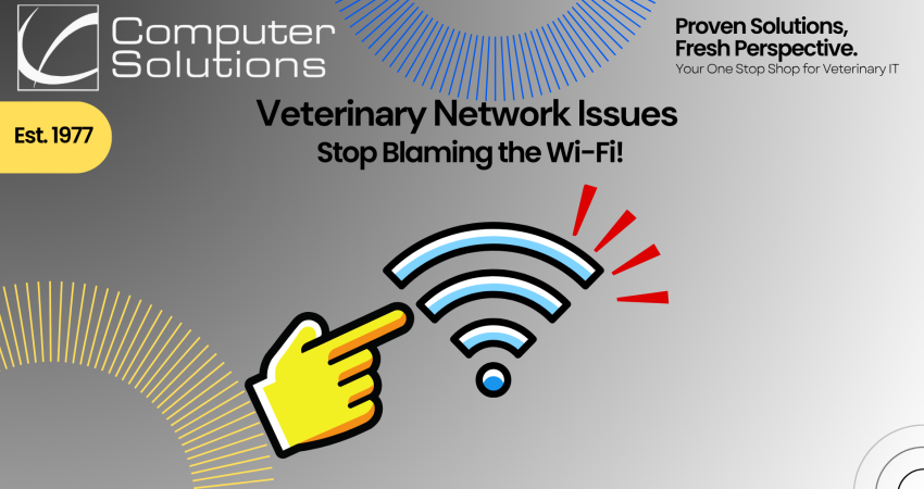 Veterinary Network Issues article title image. This includes the Computer Solutions logo, contact info, and tagline. It also shows an accusing finger pointed at a wi-fi signal symbol.