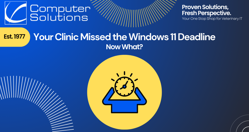 Windows 11 upgrade deadline article title image. This includes the Computer Solutions tagline, logo, and contact information. It also includes a graphic of a person stressing out about a missed deadline