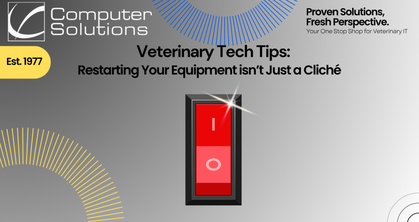 Veterinary tech tips article by Computer Solutions. This includes their tagline, logo, and contact information. It also includes a shiny on/off switch.