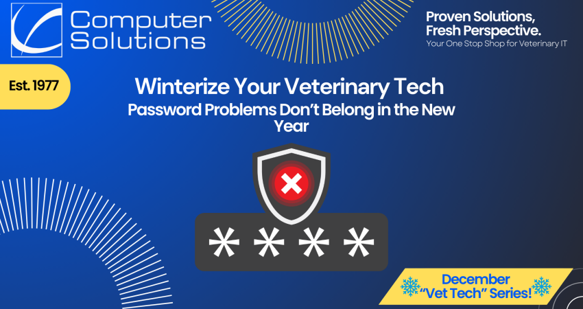 Vet clinic password policy article. This also includes the Computer Solutions logo, tagline, and contact information, as well as an icon that shows an incorrect password.
