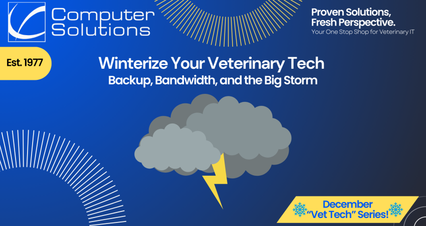 veterinary data backup article title image. This includes the Computer Solutions tagline, logo, and contact information. It also has a graphic of a storm cloud.